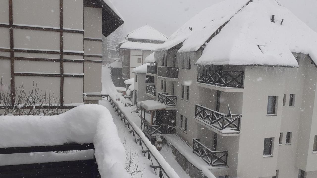 Vikend Kuca Cairovic Villa Kopaonik Ngoại thất bức ảnh
